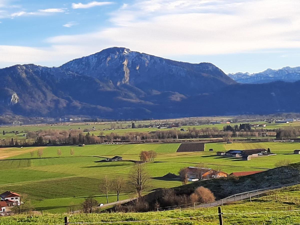 Hotel Alpspitz B&B Grainau Buitenkant foto